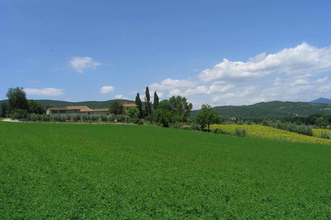 Appartamenti Con Cucina Nelle Colline Toscane Anghiari Exterior photo