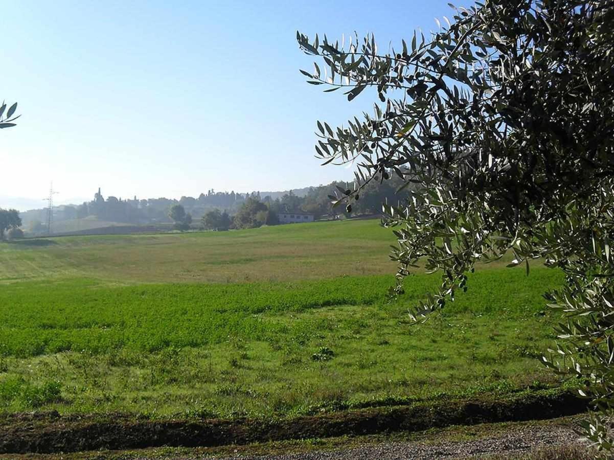 Appartamenti Con Cucina Nelle Colline Toscane Anghiari Exterior photo
