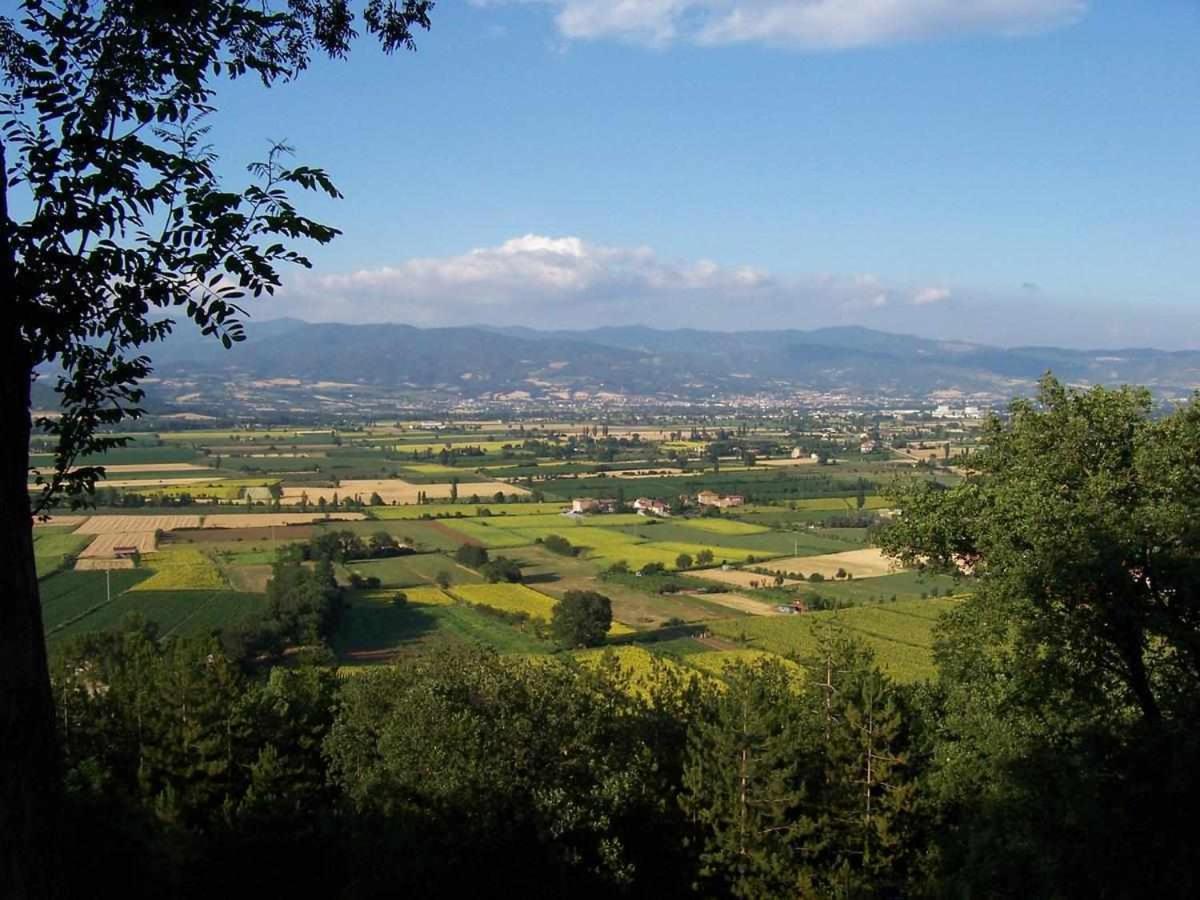Appartamenti Con Cucina Nelle Colline Toscane Anghiari Exterior photo