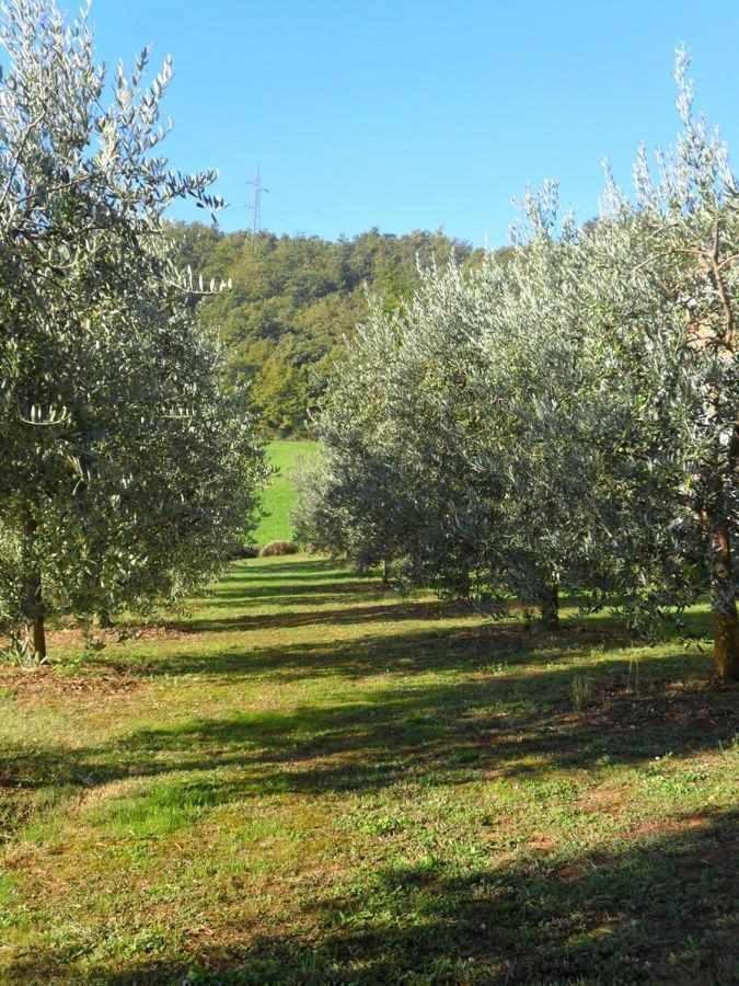 Appartamenti Con Cucina Nelle Colline Toscane Anghiari Exterior photo
