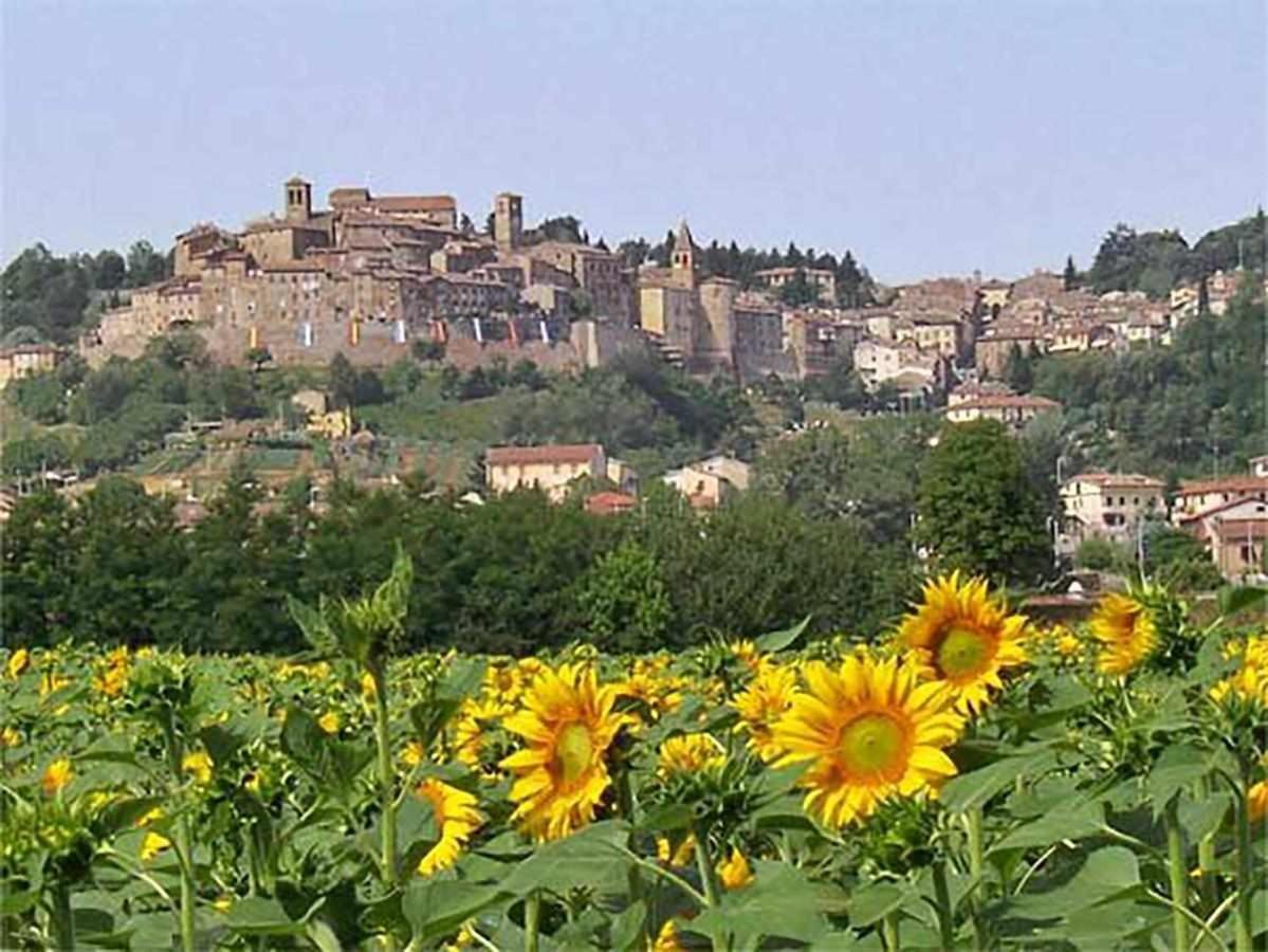 Appartamenti Con Cucina Nelle Colline Toscane Anghiari Exterior photo